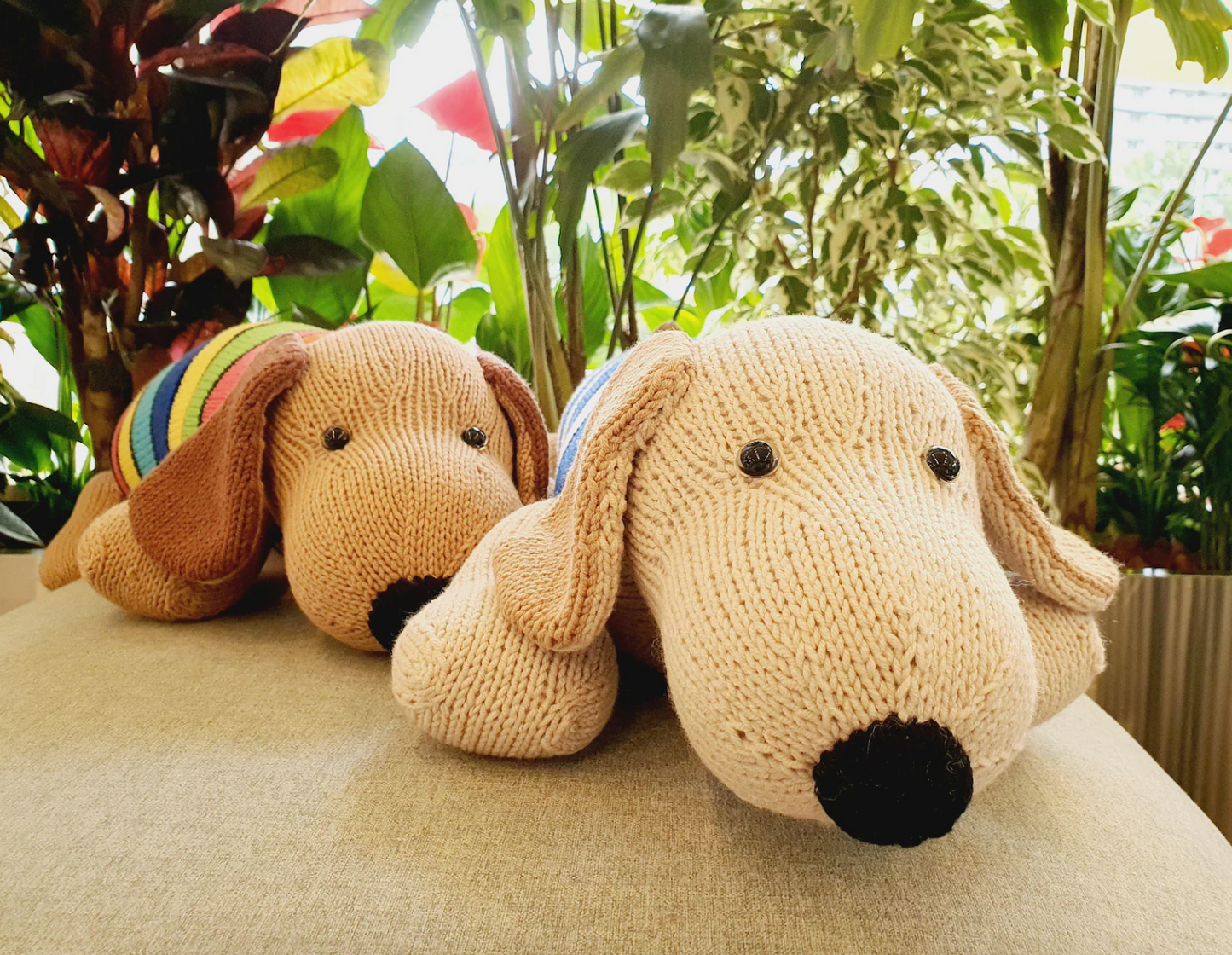 Dog Knitting Pattern
